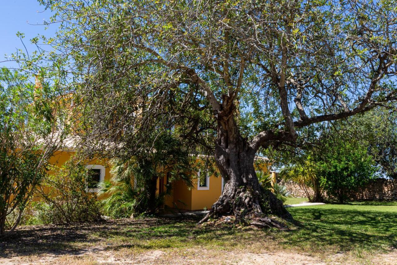 Vila Limao Boliqueime Εξωτερικό φωτογραφία